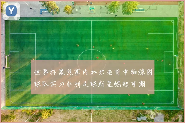 世界杯聚焦塞内加尔老将中轴稳固球队实力非洲足球新星崛起可期